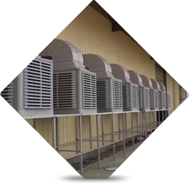 高質原料 質量源頭把控 高質原料 質量源頭把控